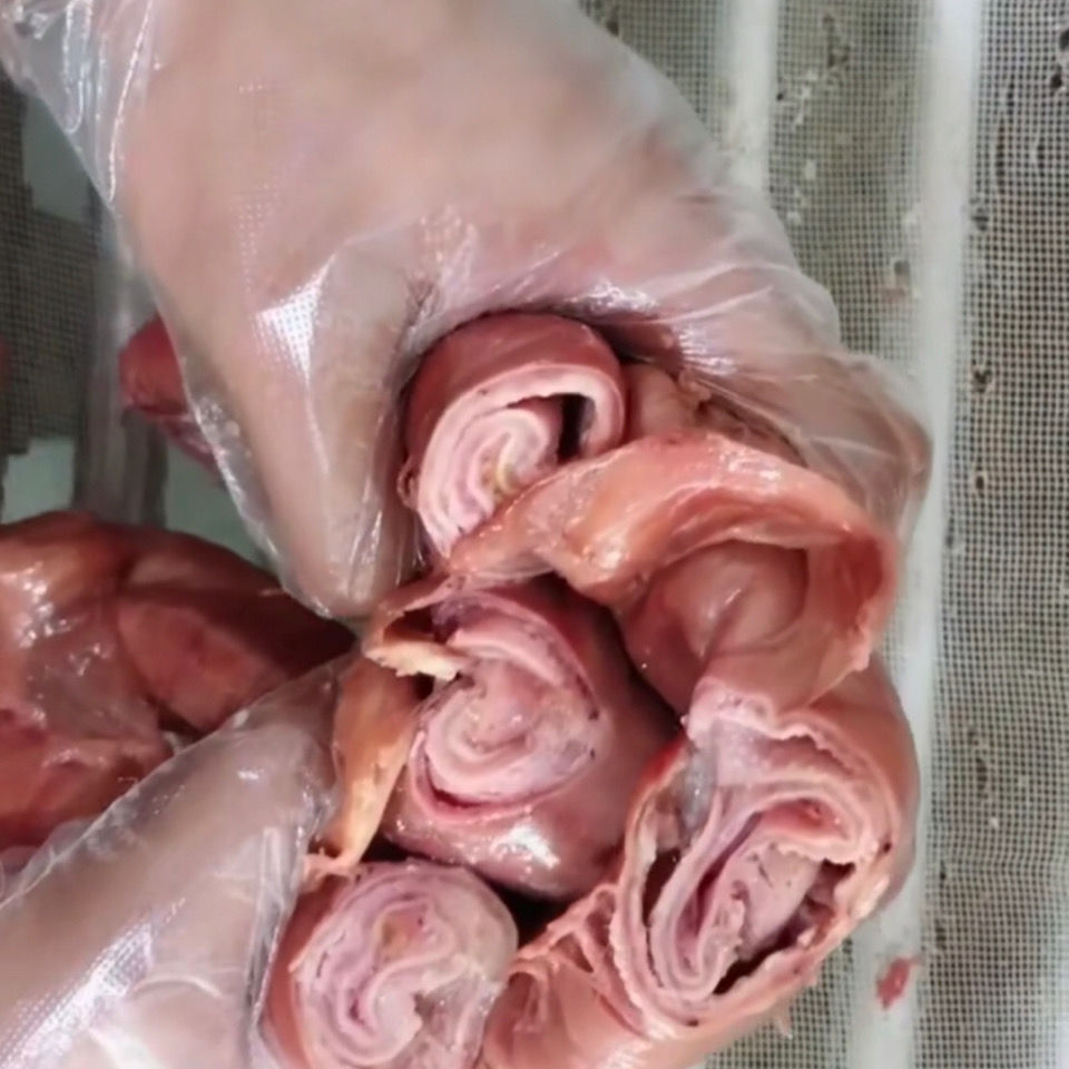 驴板肠驴套肠驴大肠驴肠子河间驴肉河间特产 2斤驴板肠【图片 价格