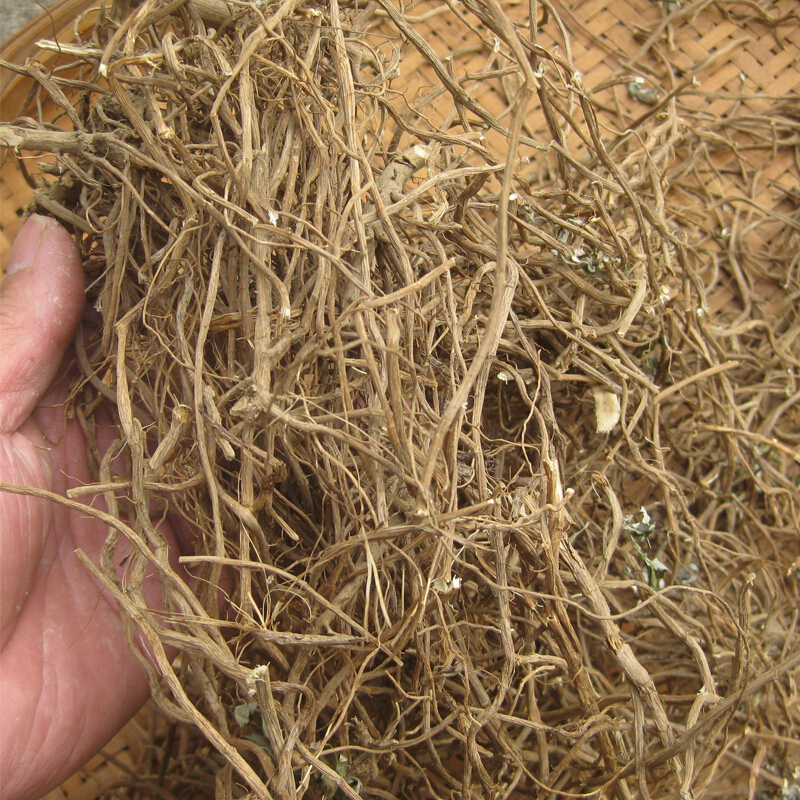 五月艾根 艾叶根 艾根 艾草根 客家特产 客家煲汤