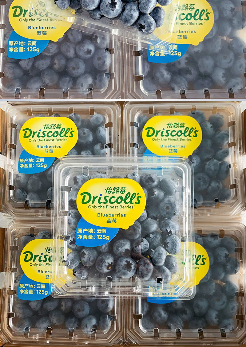 精选果蔬云南怡颗莓蓝莓driscolls蓝莓鲜果新鲜水果怡颗梅时令鲜蓝莓