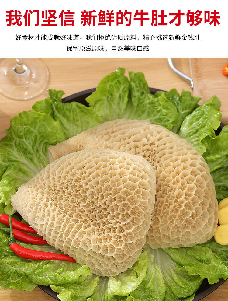 棠鲜生金钱肚新鲜黄牛半成品熟牛肚蜂窝肚1斤装