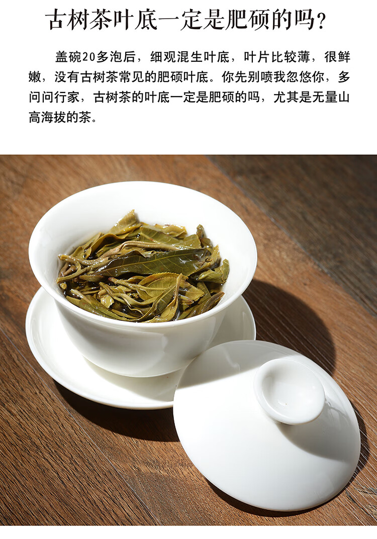 无量山普洱茶特点图片