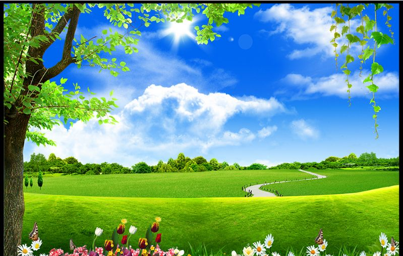 护眼壁纸大全3d立体影视墙纸绿色树林电视背景墙壁纸风景壁画客厅卧室