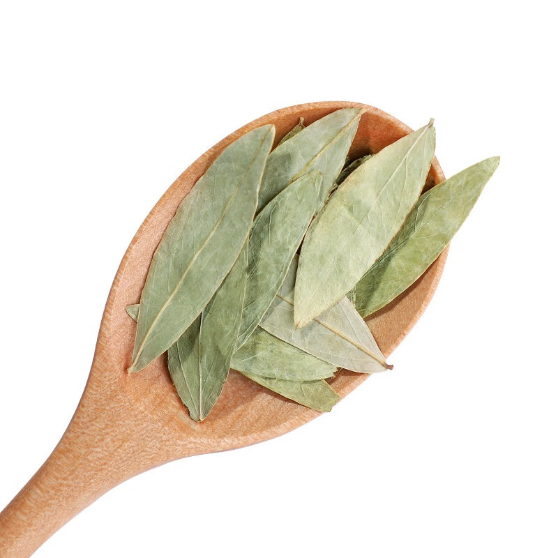 同仁堂北京同仁堂番泻叶中药泻叶茶特级潘泻叶排宿便泻药强力泻药