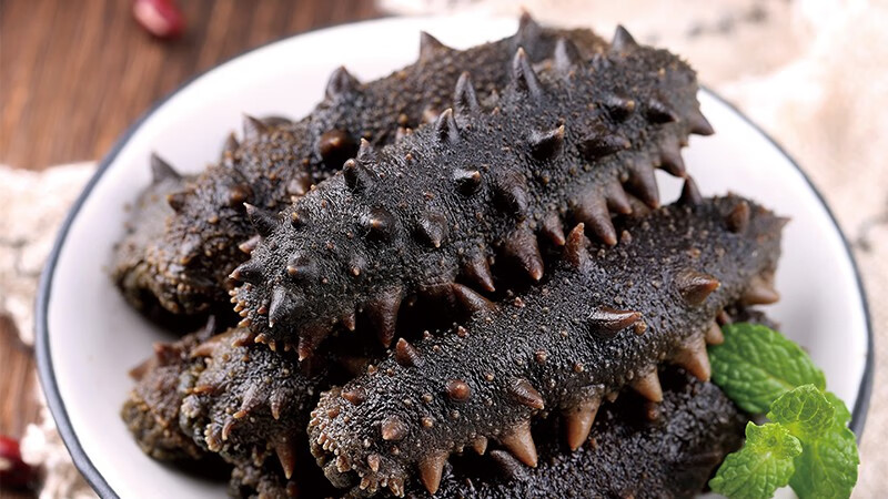 大连半干海参250g鲜活海渗拉缸盐海参 关注店铺优先发货【图片 价格