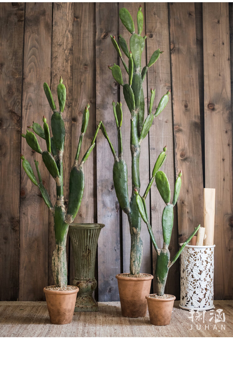 掬涵大型仿真仙人掌盆景绿植热带沙漠绿植雷鬼摇滚装饰摆件礼物