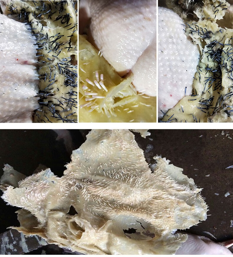 家禽脱毛蜡鸡鸭鹅拔毛蜡无味去除鸭毛家用杀鸭子拔绒猪头腊20斤白蜡