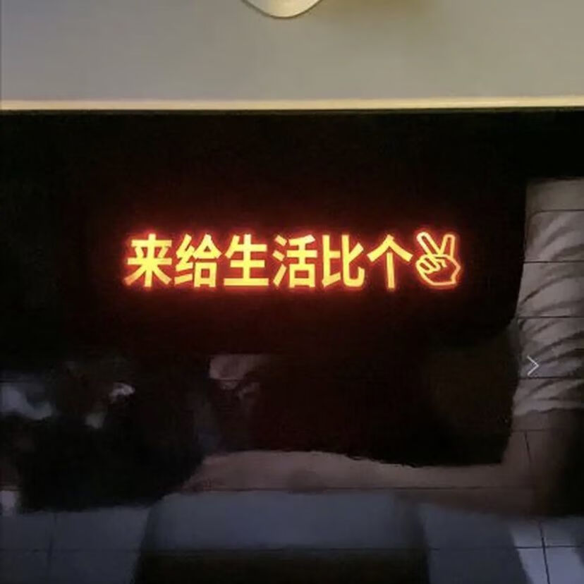来给生活比个耶 亚洲狮【图片 价格 品牌 报价-京东