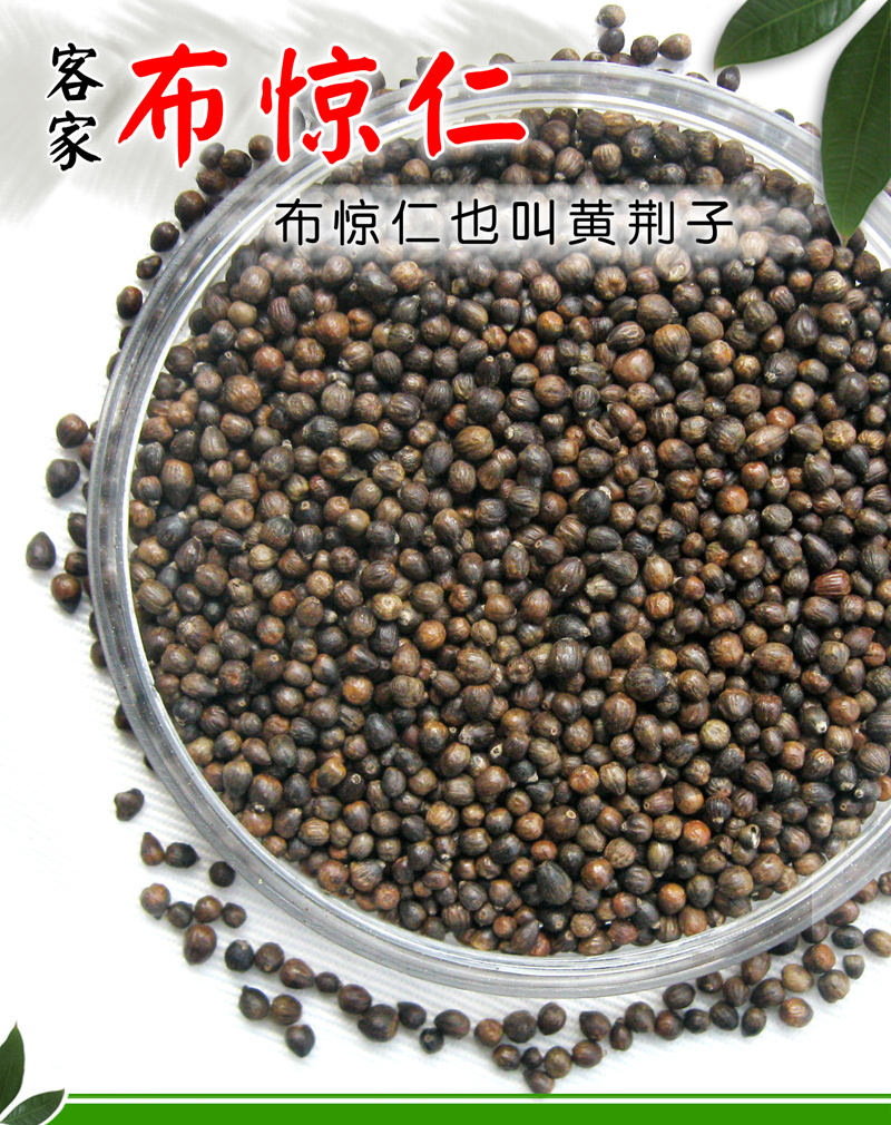 黄荆子野生布惊子布惊仁布惊籽黄荆籽蒲姜籽黄金子可制作植物枕头 2斤