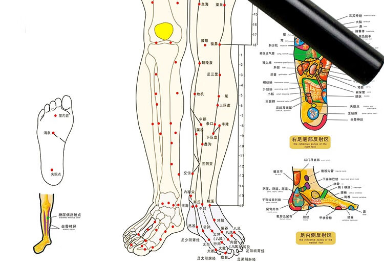 人体经络图穴位大挂图中医养生馆挂画全身按摩针灸装饰