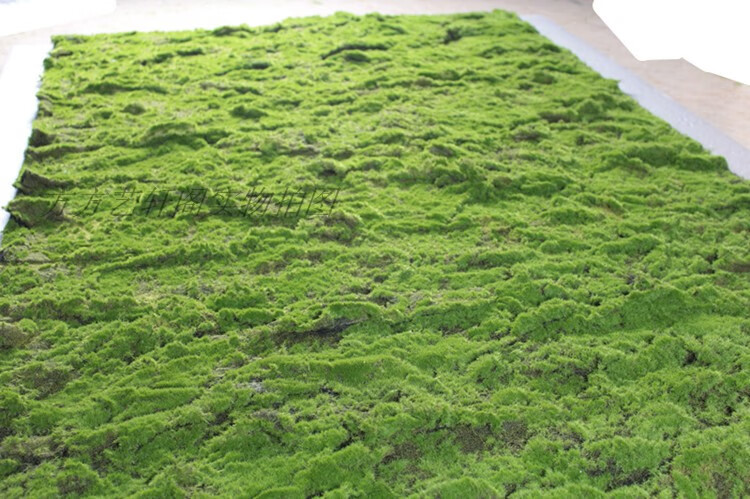 沃绣仿真苔藓 青苔草坪 人造青苔 仿真绿植物墙 装饰橱窗墙面桌面盆栽
