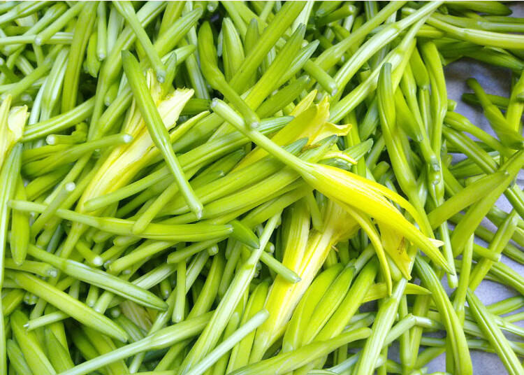 黄花菜干货500g农家自种针花针菜煲汤晒干新货一斤装