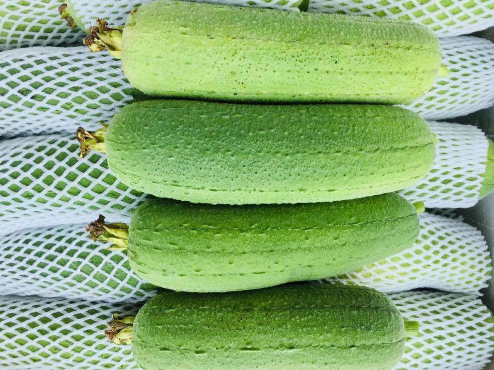 丝瓜新鲜蔬菜短棒肉丝瓜农家无公害有机孕妇下奶现摘现发 3斤装丝瓜