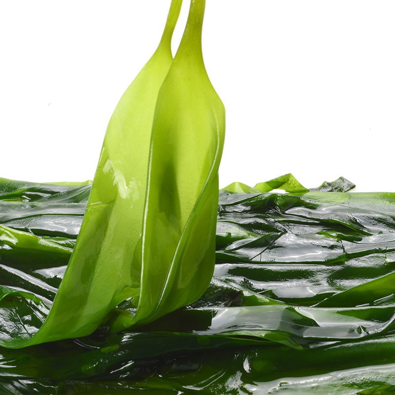 盐渍小海带苗海带芽嫩芽凉拌菜火锅食材餐饮霞浦 5斤【图片 价格 品牌