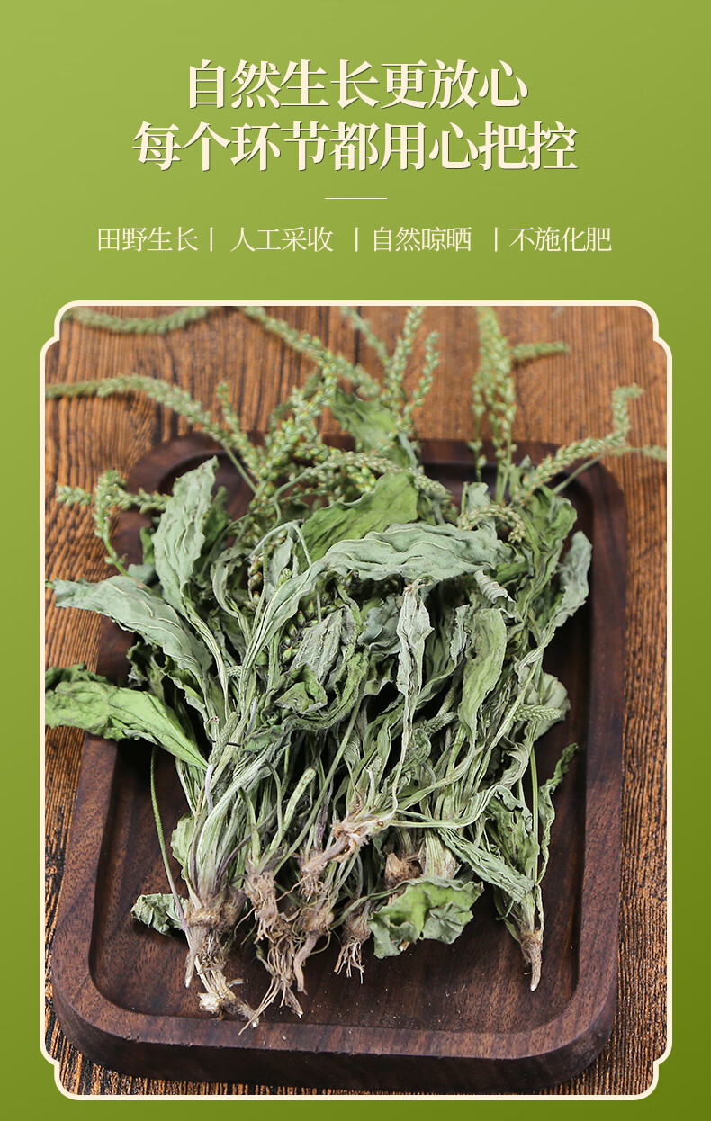 车前草500g中药材车前草干货新鲜非野生泡茶泡水喝售车前子金钱草