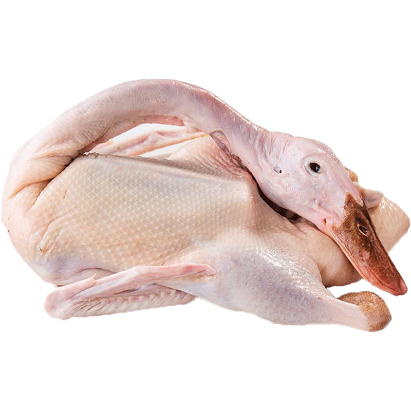 三年水养老鸭土鸭农家散养鸭子鸭肉新鲜整只 散养三年老鸭杀后8斤