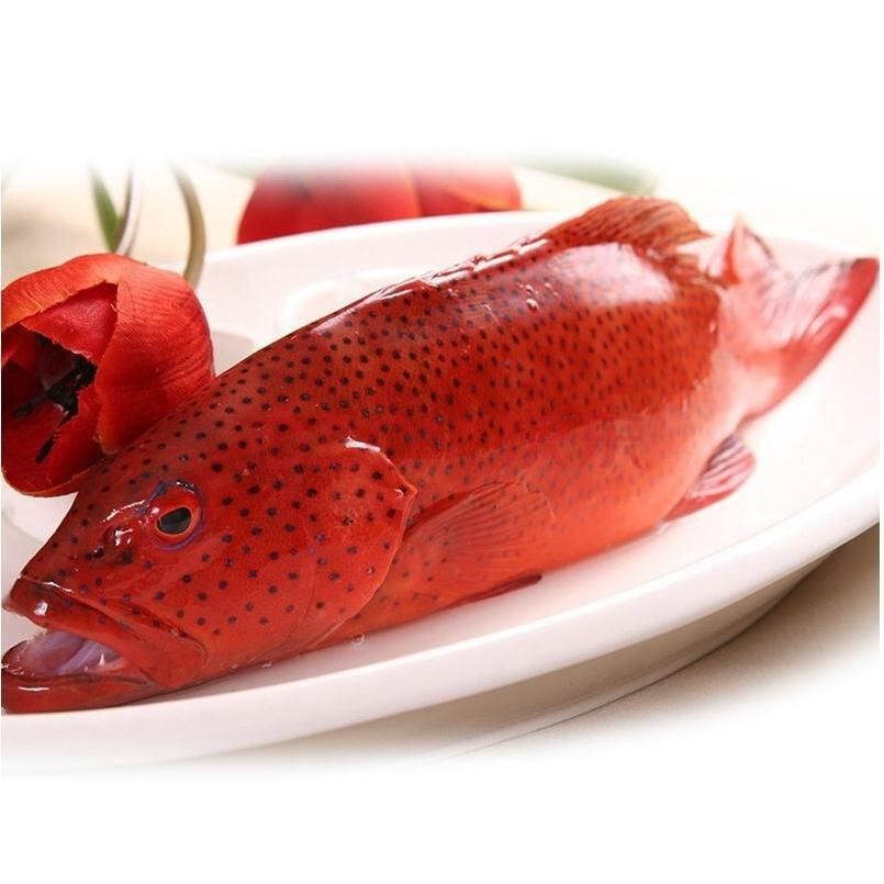 东星斑红石斑鱼冷冻大龙胆鱼深海鱼腾旺纳跃9两条