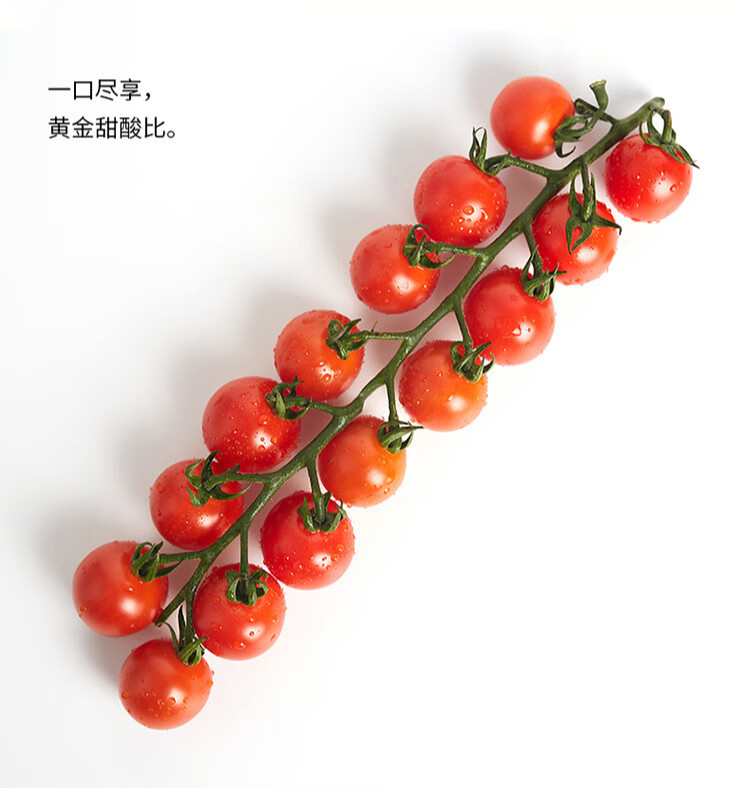 小番茄摆盘造型图片图片