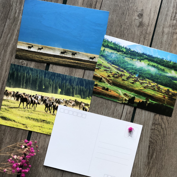 月亮湾白哈巴村草原雪山旅游纪念品 10张 新疆明信片(手绘版)》【摘要