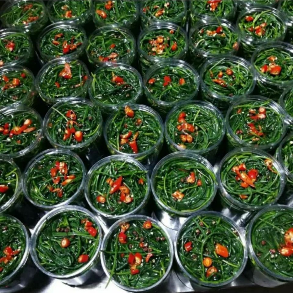 1件甘肃民勤特产腌沙葱咸菜沙葱下饭菜野生酱沙葱地方小吃2瓶3斤