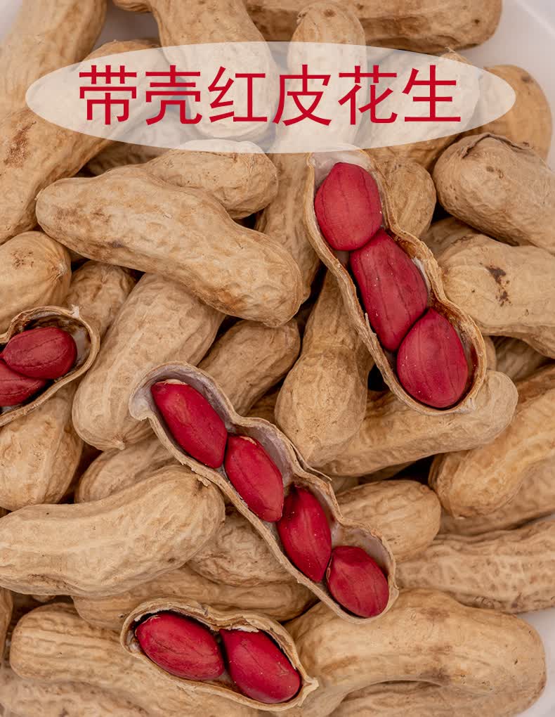 32d1030259655c49.jpg