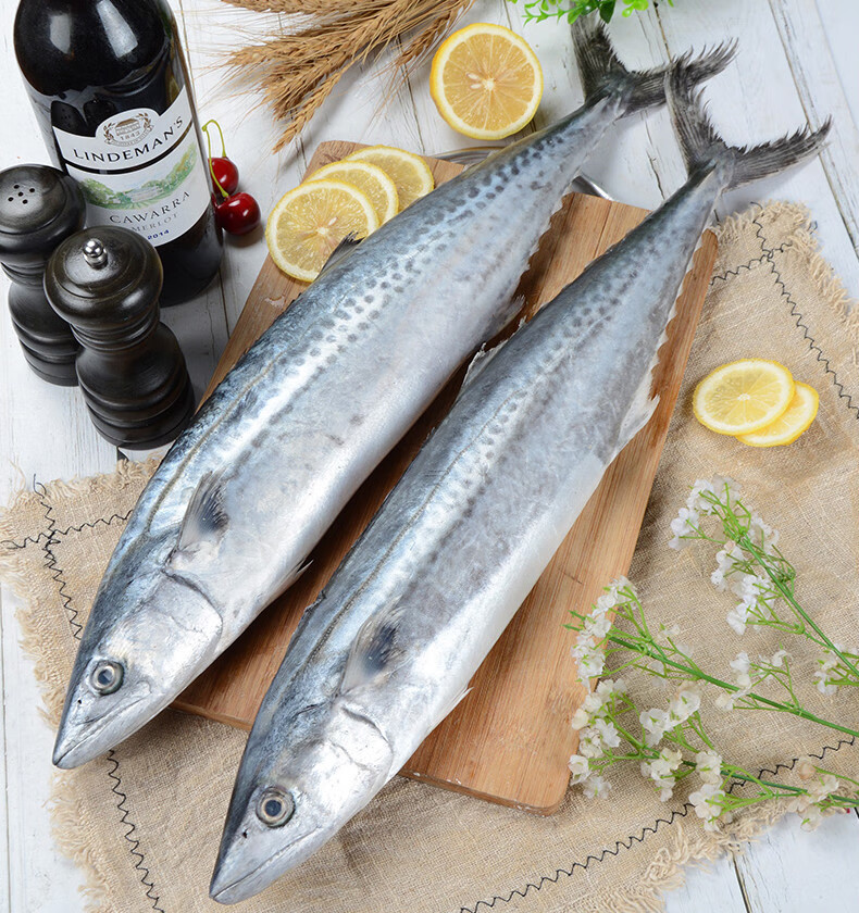 鲅鱼新鲜 鲜活海捕鲅鱼2条8斤装 冷冻海鲜深海鲅鱼 海鱼大马鲛鱼鲅鱼