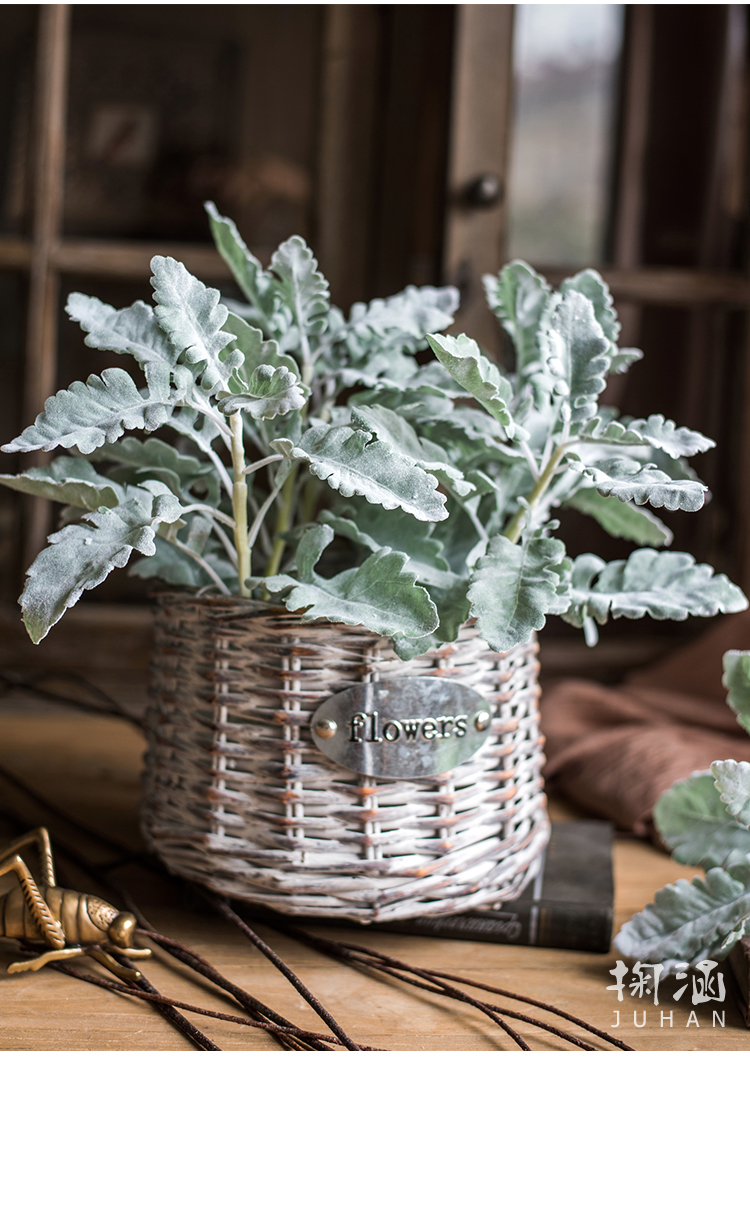 掬涵 银叶菊仿真植物花艺配叶绿植插花装饰桌面摆件北欧美式 纸袋花器