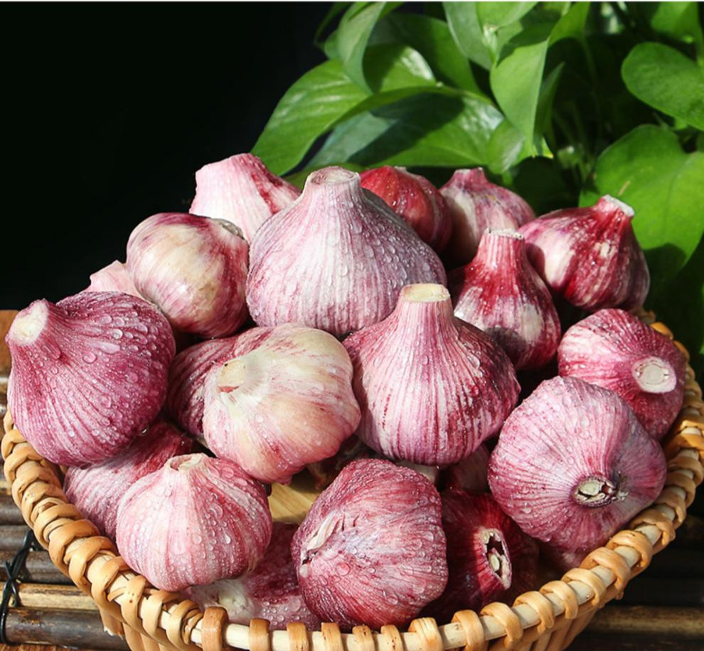jd物流紫皮大蒜干蒜云南紫皮蒜红皮大蒜紫皮瓣蒜大蒜干蒜10斤大果新