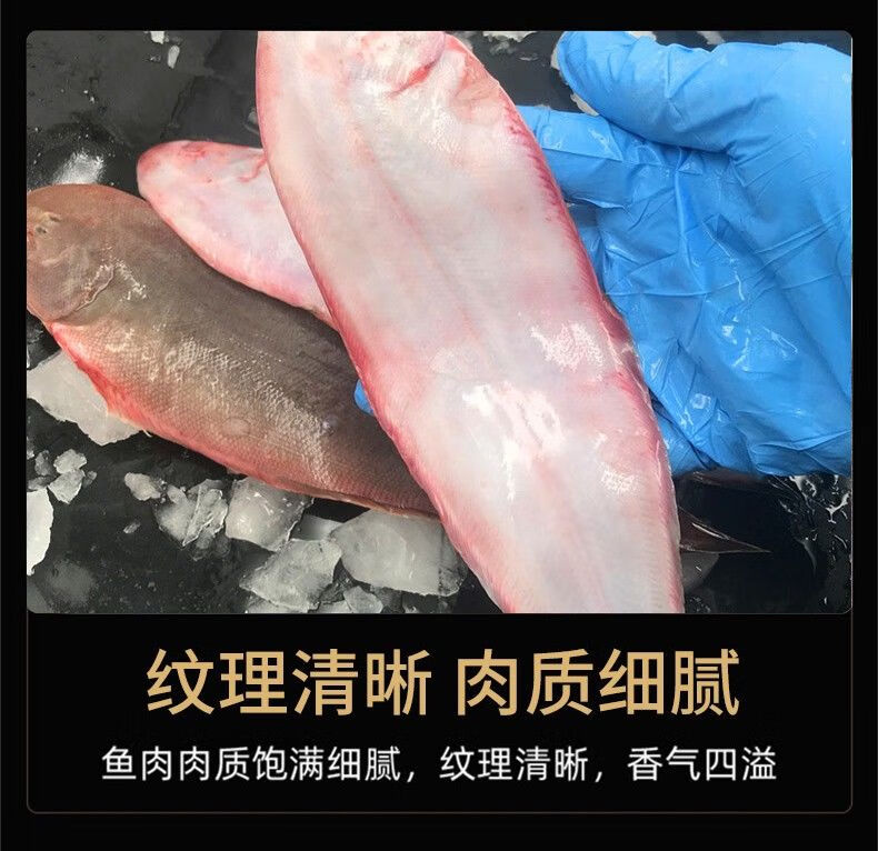 淨重無冰舌頭魚新鮮冷凍踏板魚牛舌魚龍利魚魚柳深海魚新鮮龍利魚一斤