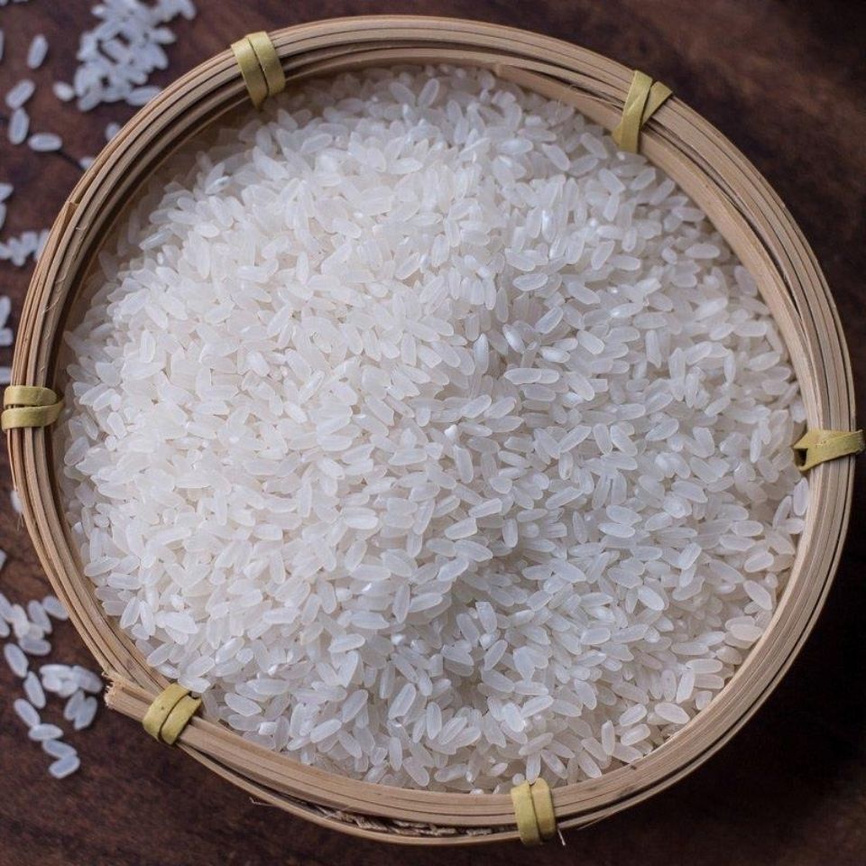 普康大米普康7号龙洋稻长粒香大米5kg新米东北大米长粒粳米10斤真空
