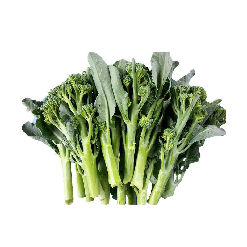 新鲜西兰苔 新鲜蔬菜 青花苔 迷你小西蓝花苔芥兰菜心 长杆西兰花