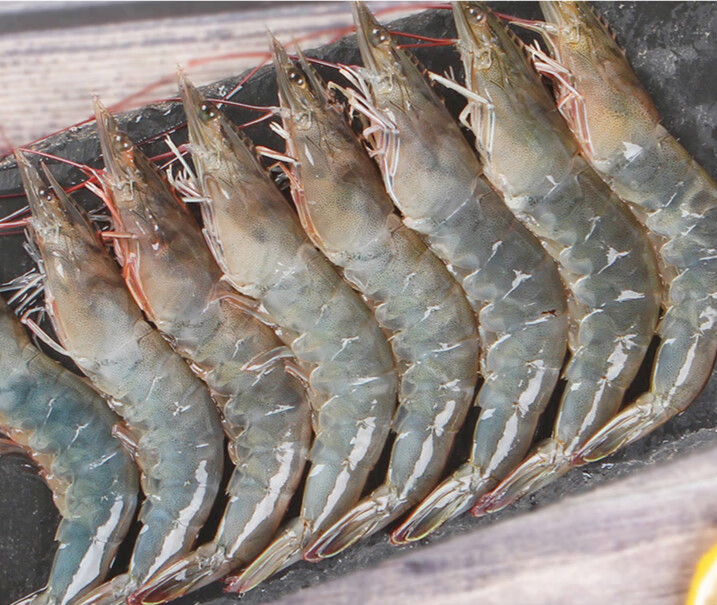 基围虾国产大虾1400g多规格海鲜冷冻整箱大海虾速冻新鲜基围虾特大白