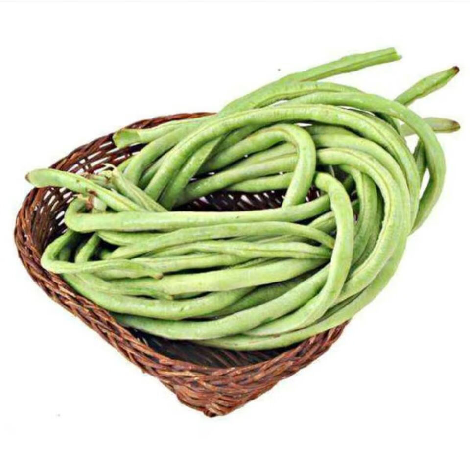 【精选】大肉甜豆角白豆角肉厚油白型夏季抗热播种高产特长农家蔬菜