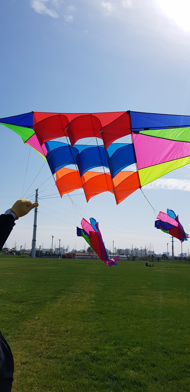 雷达风筝滑翔机微风易飞飘尾伞布树脂杆转尾潍坊保飞成人长尾 雷达