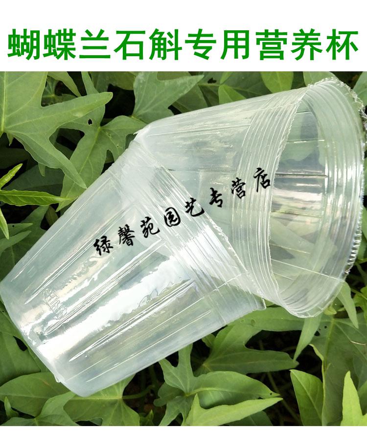 35寸25寸4寸蝴蝶兰花种植塑料杯栽石斛育苗袋营养钵透明盆10个35寸