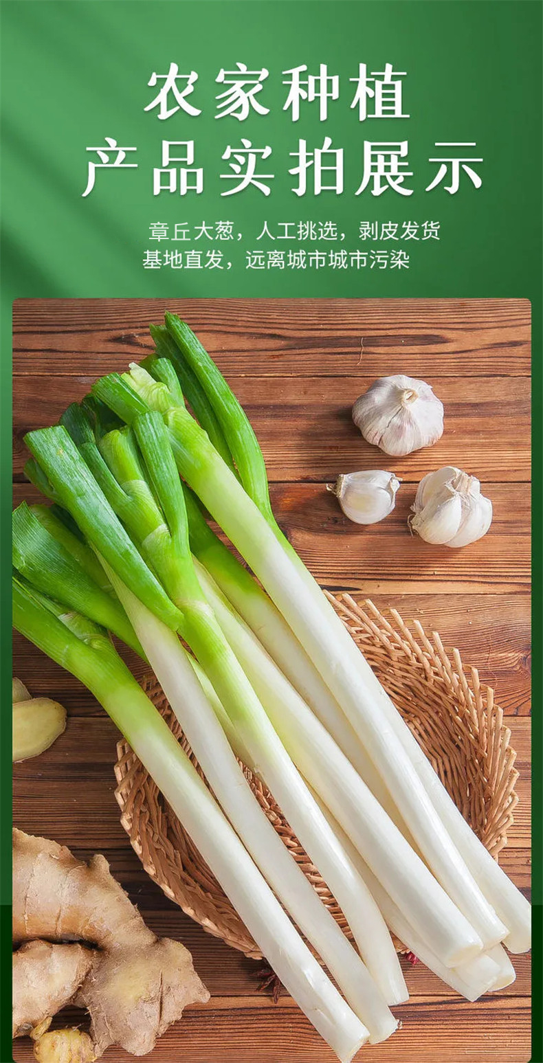 星派果章丘大葱葱王山东章丘大葱精品长葱白脆甜多汁生吃新鲜8斤装