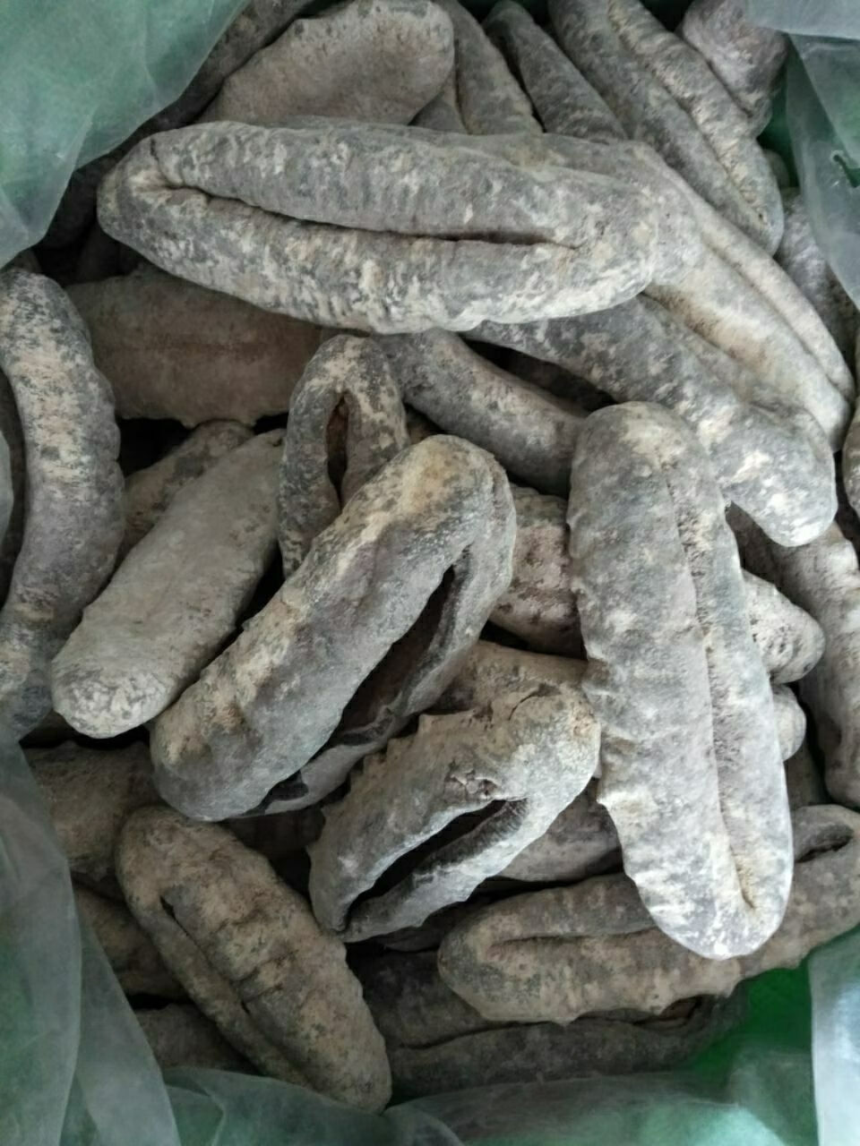 一斤特级南美猪婆参(1一2头)【图片 价格 品牌 报价】-京东