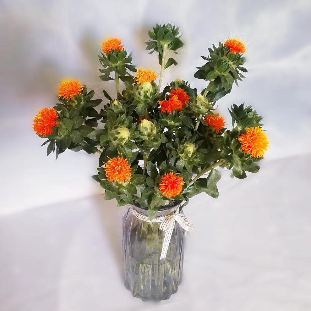 旧故里 橙菠萝鲜花云南昆明基地直发办公室卧室家用水养真花 橙菠萝两
