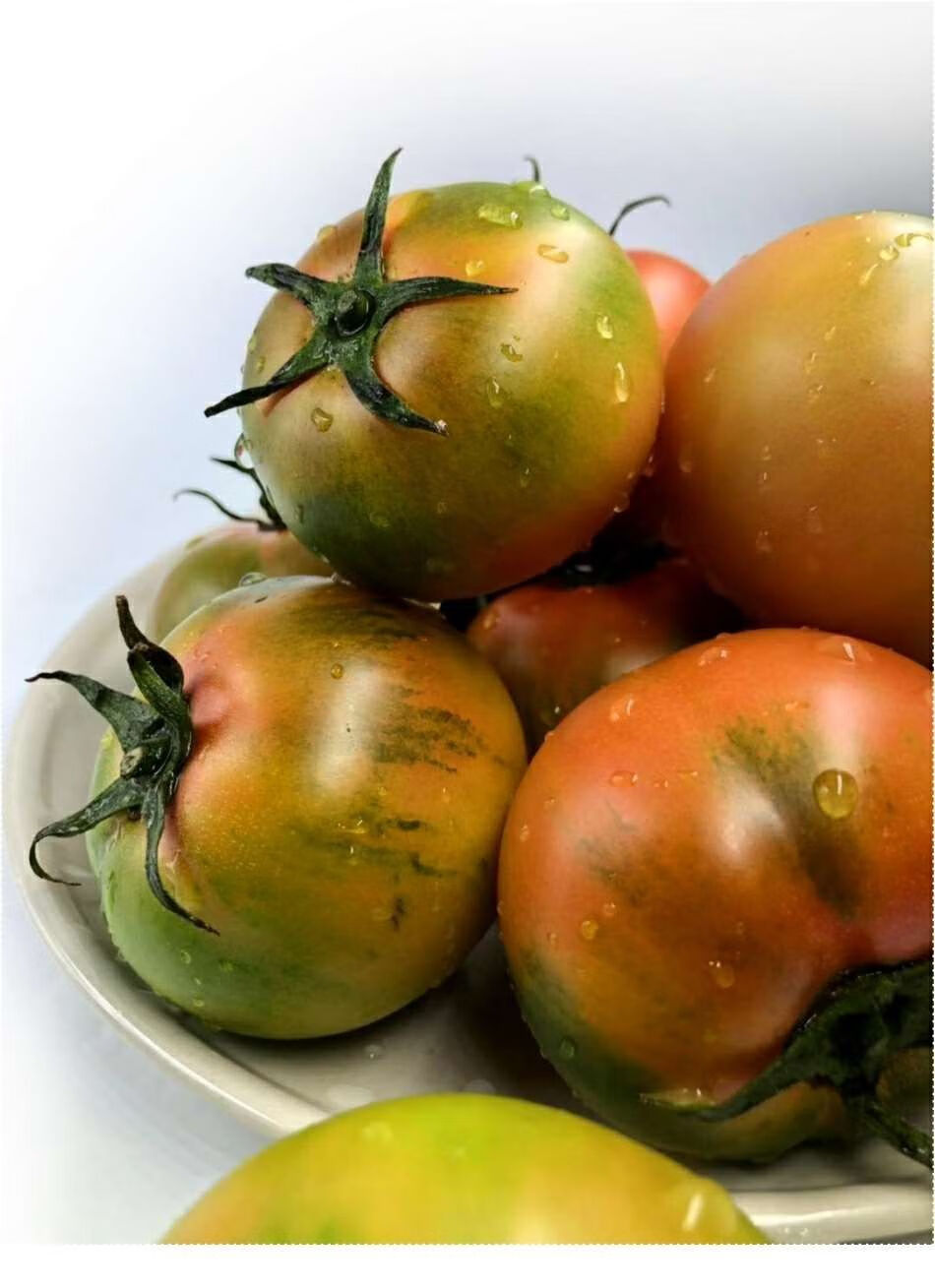 贵妃鲜盘锦碱地铁皮柿子柿子西红柿新鲜绿腚鹰爪脆丹东番茄水果 收藏