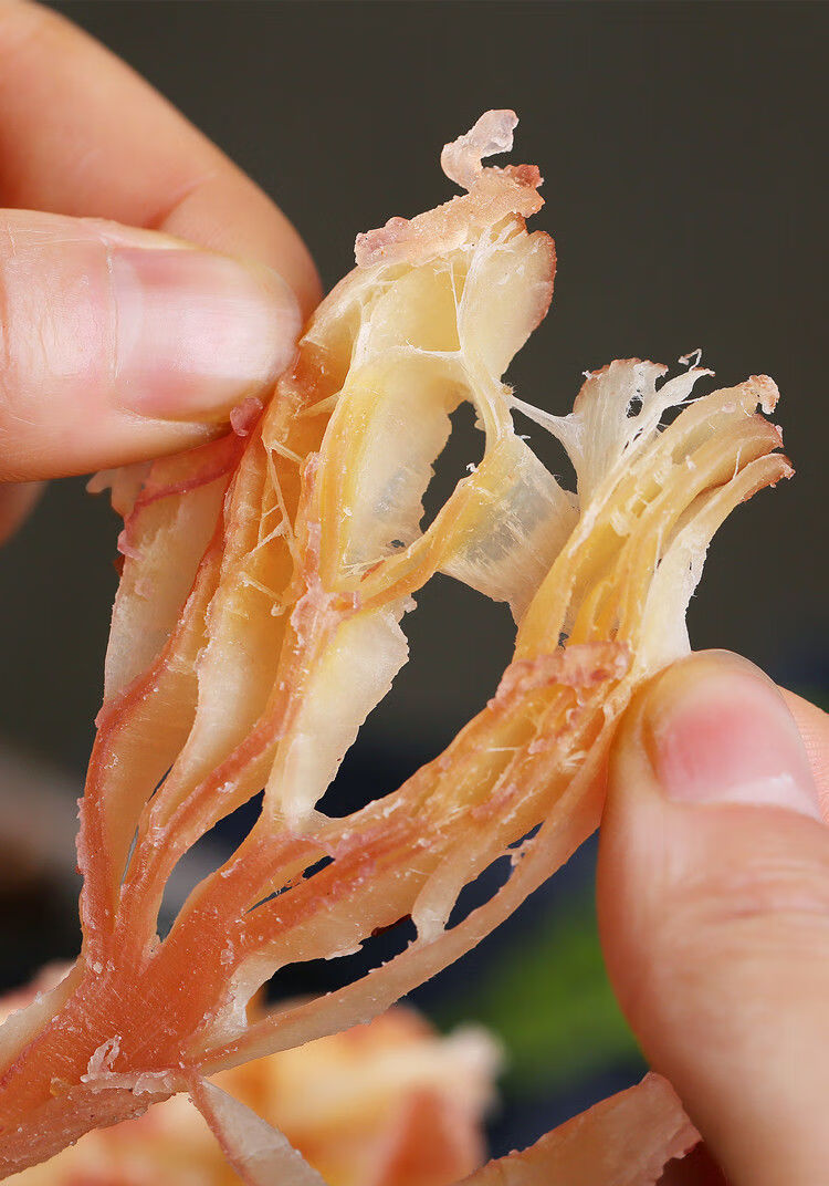 鱿鱼碎块手撕奶香味鱿鱼条鱿鱼丝鱿鱼片海鲜零食小吃奶香味鱿鱼块250g