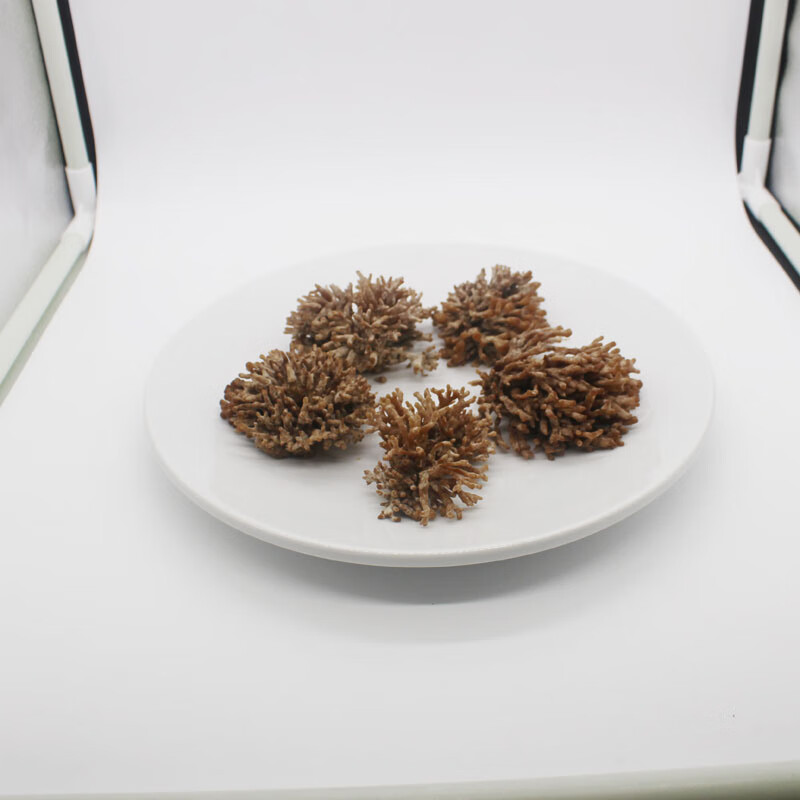 媚调 新鲜龙爪菇 500g 高端食材 特色菜食用菌菇 猫爪菇 3斤【图片