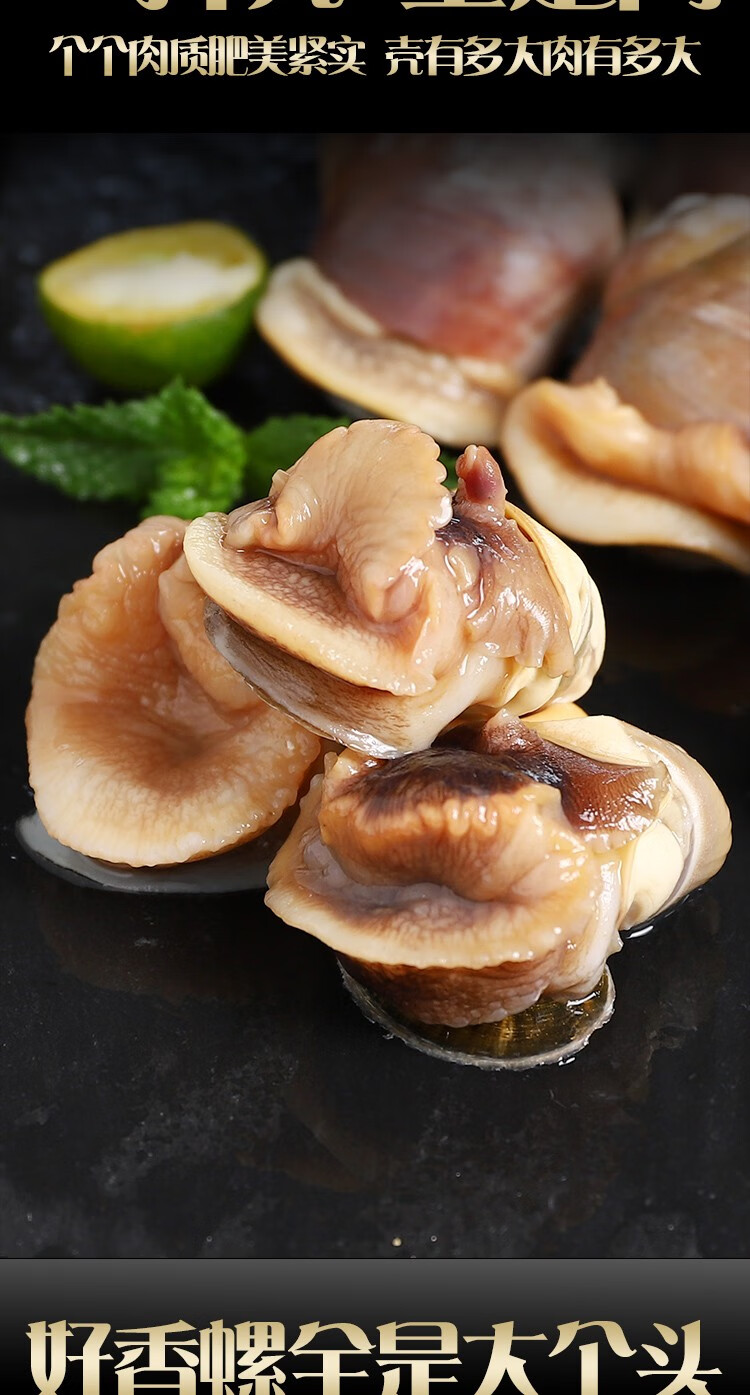 现捕大香螺猫眼1000g红岛红香螺肚脐螺海螺螺玉螺生鲜贝类海鲜水产