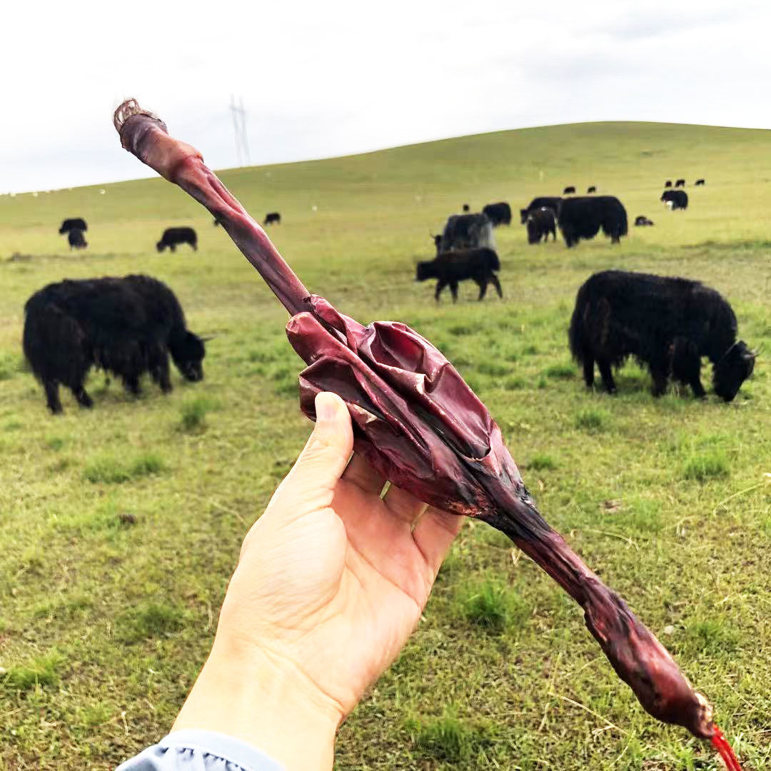 青藏高原牦牛鞭牛带睾丸,活动特卖100克新鲜整根男性泡酒 140克特大