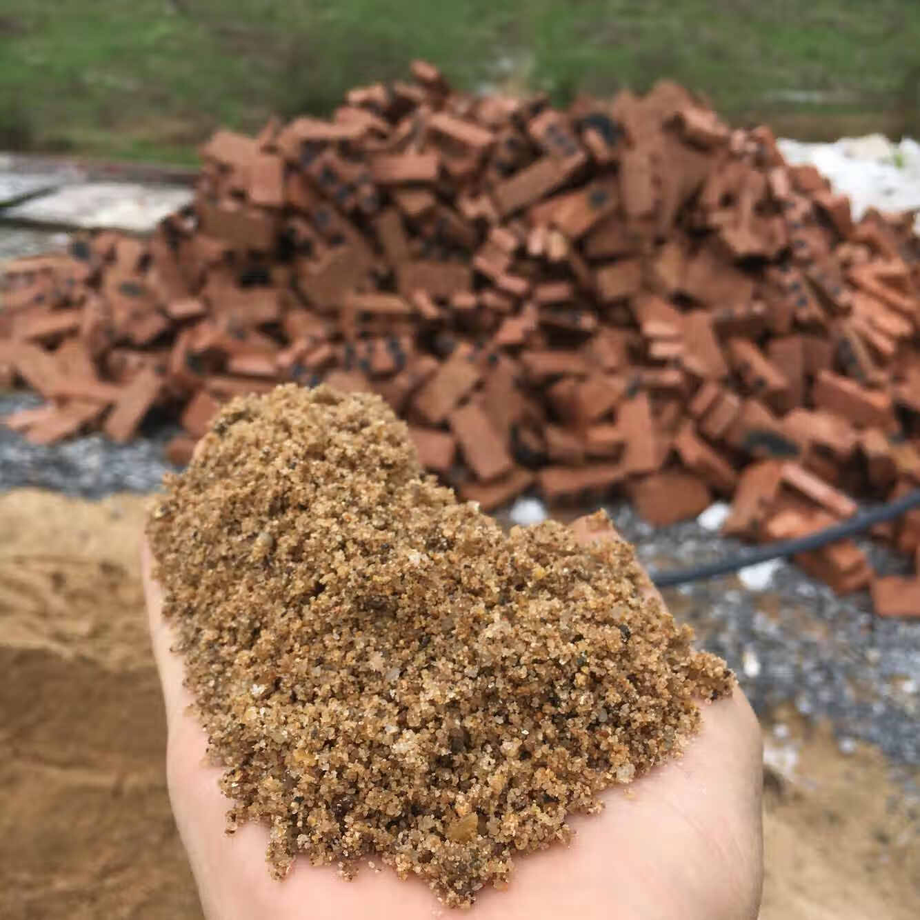 车小美 黄沙河沙水泥沙子沙土黑水泥白水泥砂浆用沙子多肉种花土 5斤