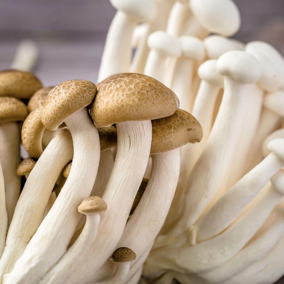 媚调 蟹味菇 新鲜菌菇 蔬菜现采现发蔬菜孕妇蘑菇烧烤火锅农家 【精品