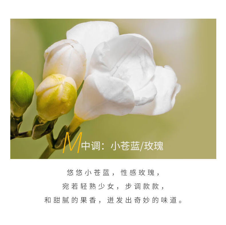 妮烨 维特丝小苍兰香水香氛洗发水持久留香沐浴露套装网红男士女学生