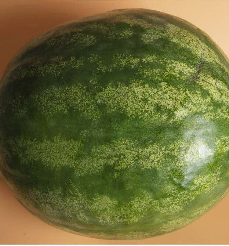 早告白现货 打瓜22年敖汉黄壤大打瓜黄壤打瓜籽瓜水果1个7.