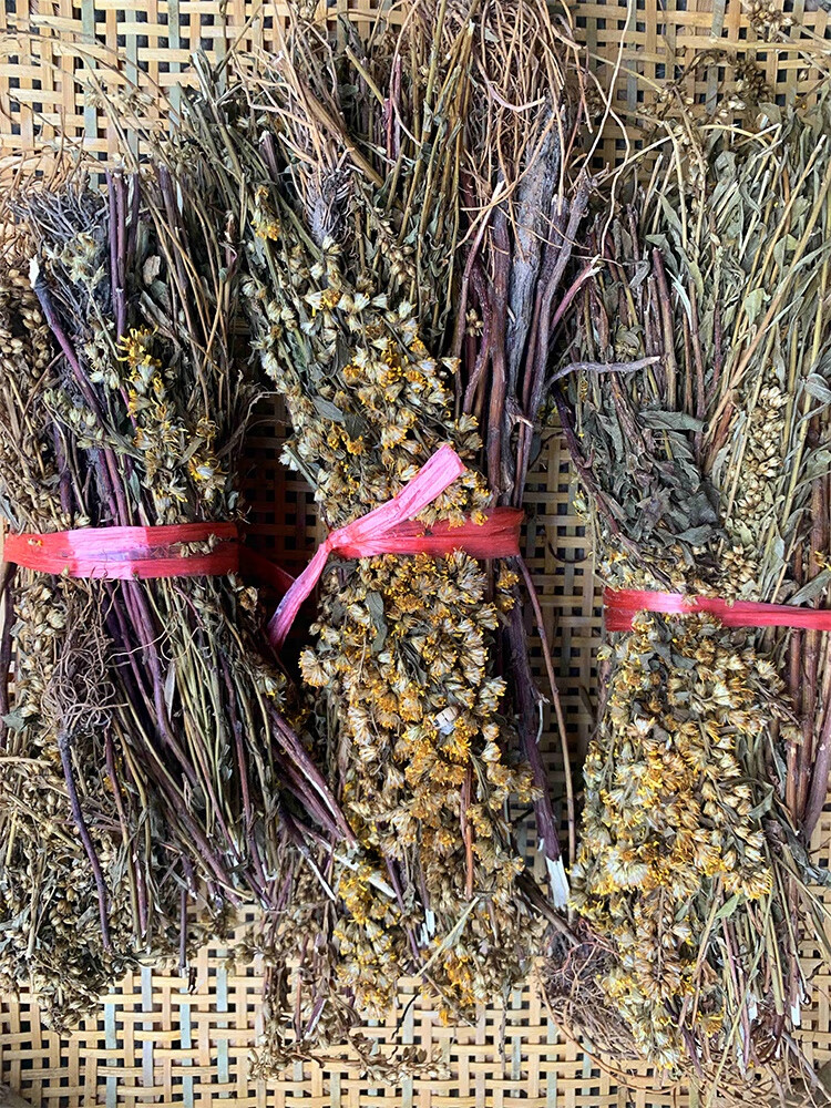 采摘一枝黄花中药材一支黄花老虎尿500克一斤晒干