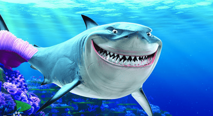 鲨鱼抱枕 毛绒玩具海底总动员鲨鱼 海龟 多莉 章鱼尼莫小丑鱼公仔娃娃