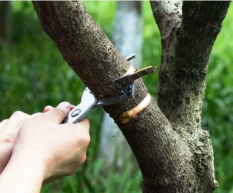 惠利得环割刀果树柑橘枣葡萄树老树皮剥皮刀开甲刀环割放水荔枝环剥器
