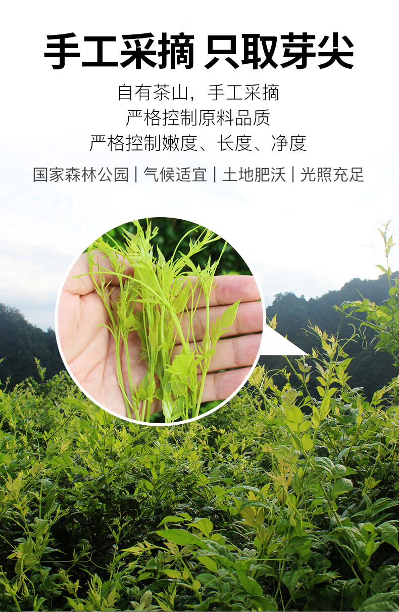 莓茶张家界特级野生龙须芽尖茅岩霉茶藤茶湘西土家咽喉茶【图片 价格